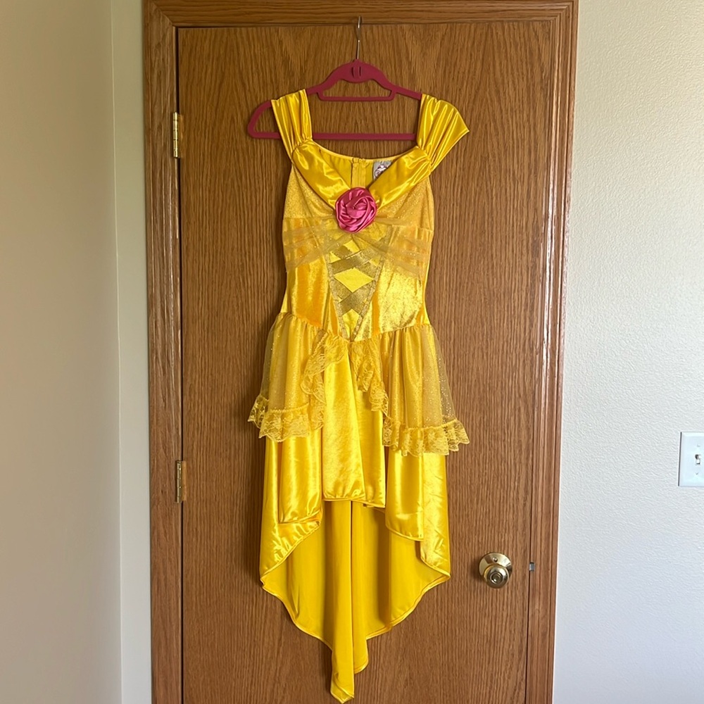 Adult Princess Belle Costume